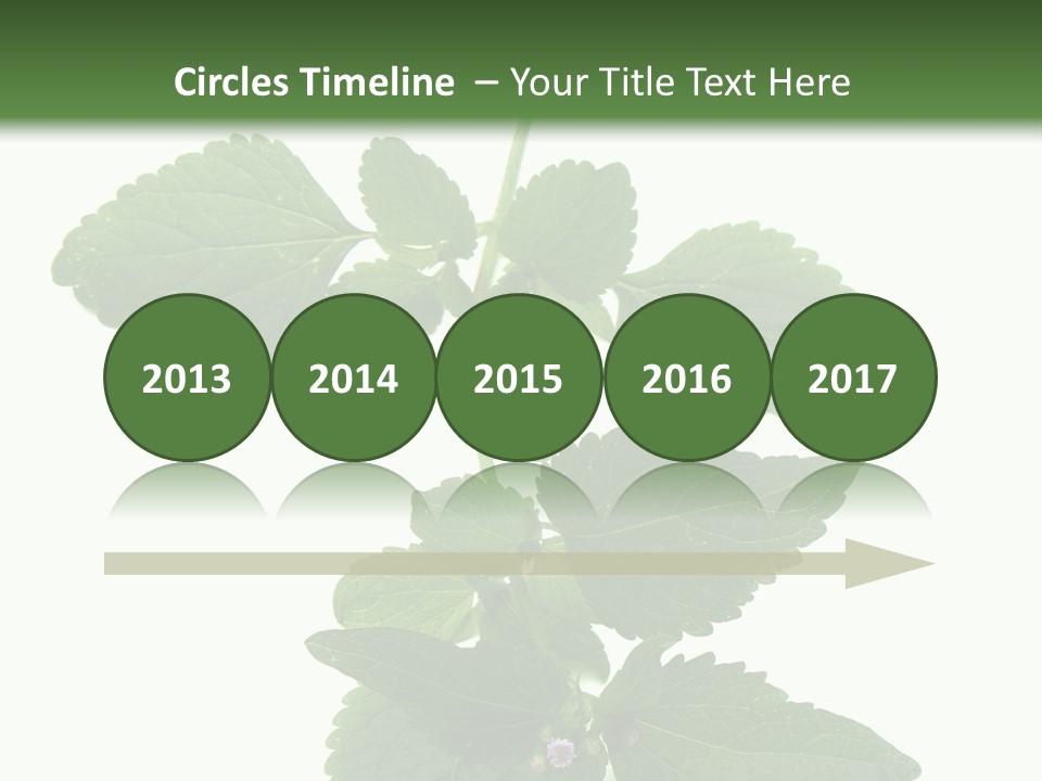 Floral Boutons Herbe PowerPoint Template