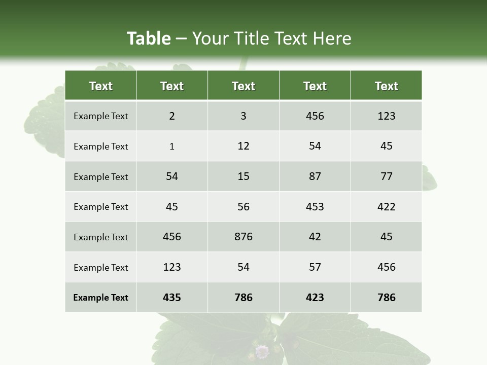 Floral Boutons Herbe PowerPoint Template