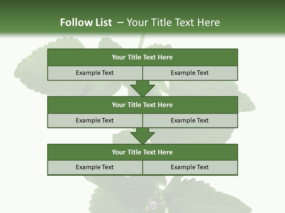 Floral Boutons Herbe PowerPoint Template