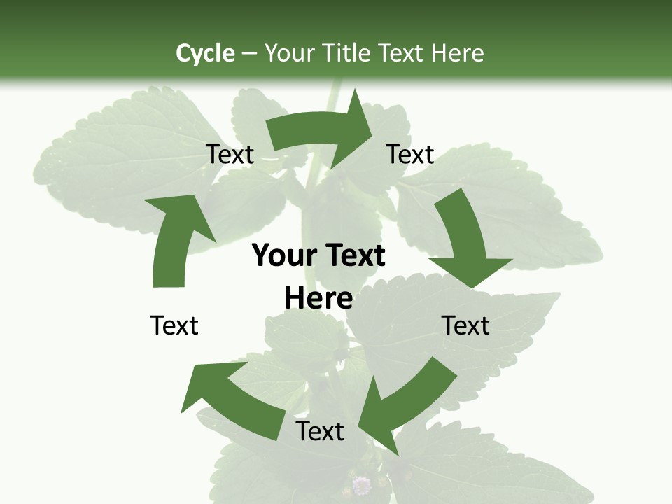 Floral Boutons Herbe PowerPoint Template