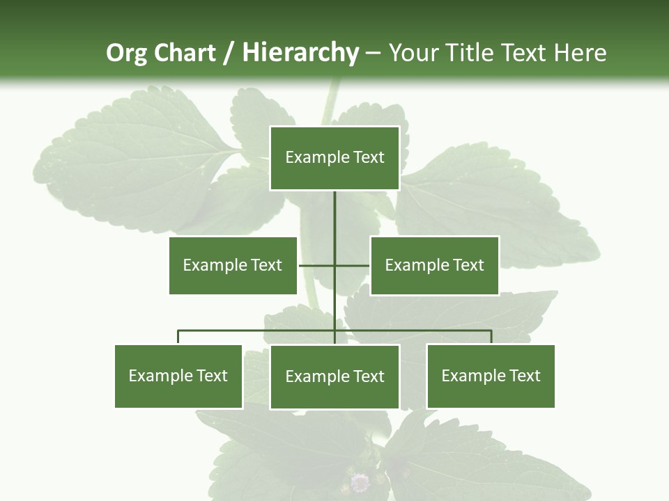 Floral Boutons Herbe PowerPoint Template