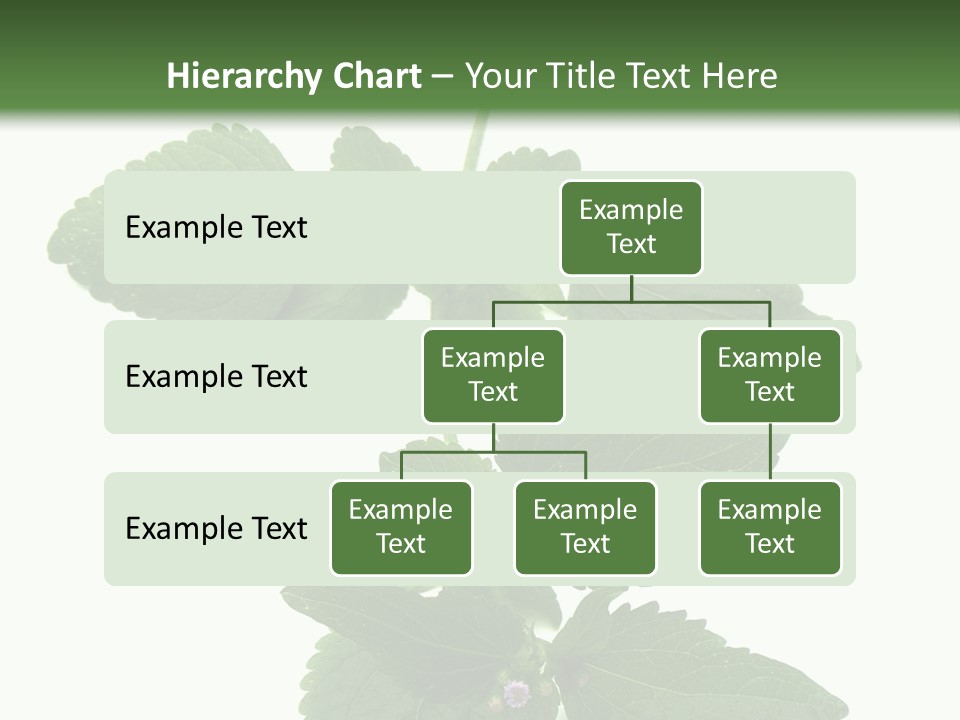 Floral Boutons Herbe PowerPoint Template