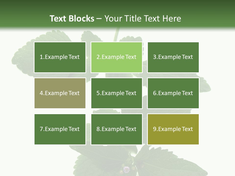 Floral Boutons Herbe PowerPoint Template