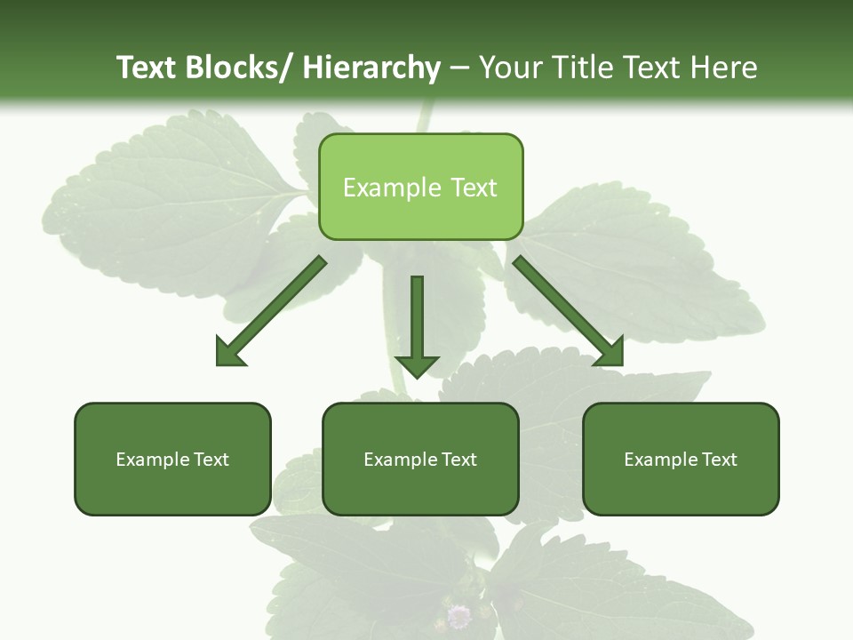 Floral Boutons Herbe PowerPoint Template