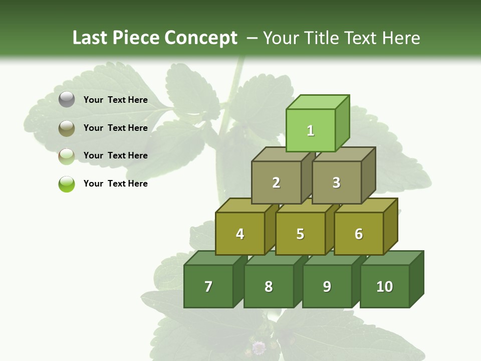 Floral Boutons Herbe PowerPoint Template