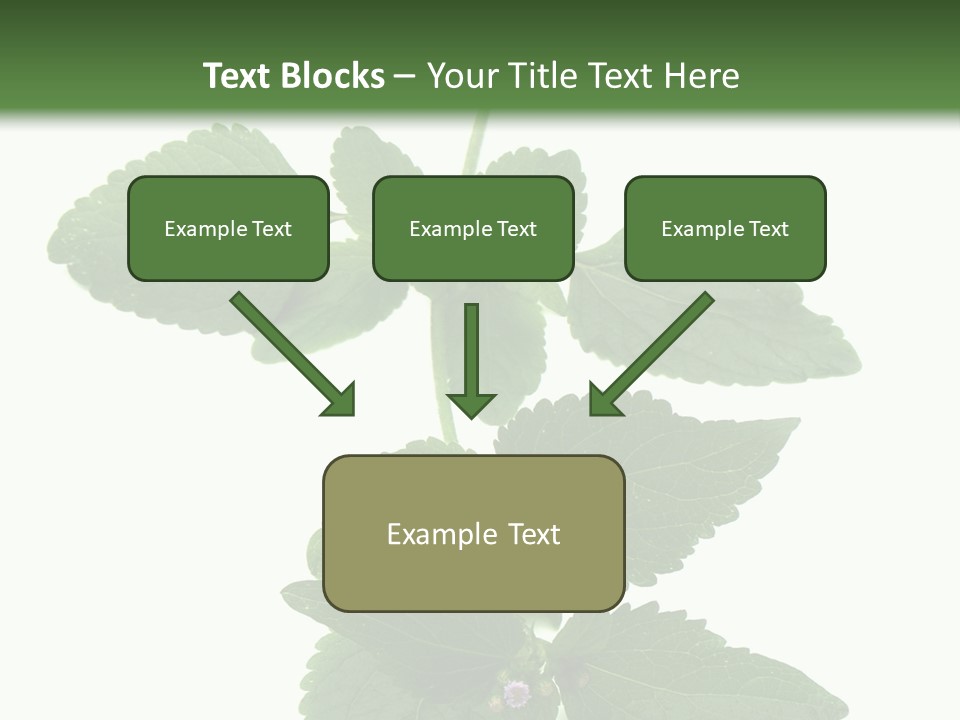 Floral Boutons Herbe PowerPoint Template