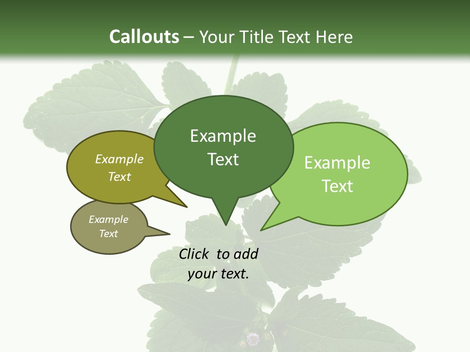 Floral Boutons Herbe PowerPoint Template