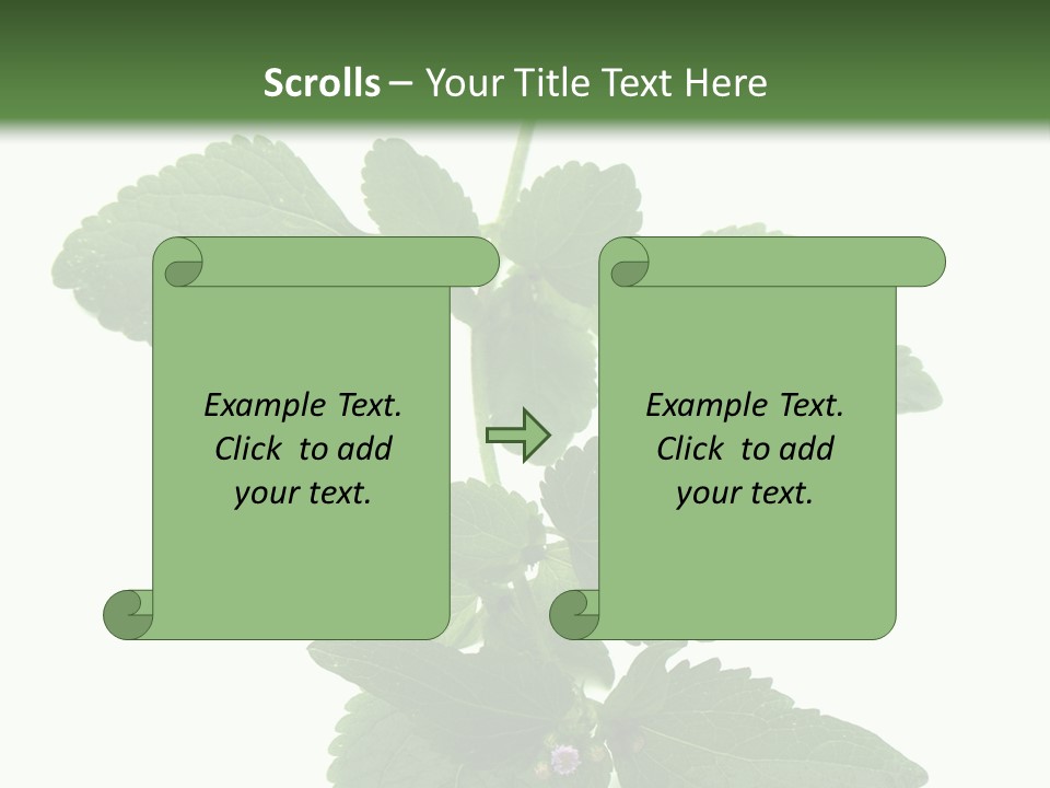 Floral Boutons Herbe PowerPoint Template
