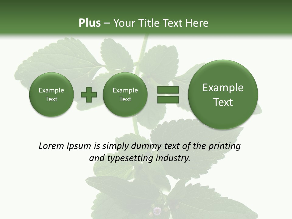 Floral Boutons Herbe PowerPoint Template