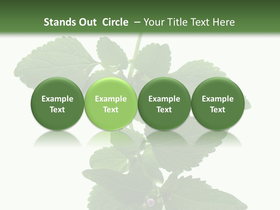 Floral Boutons Herbe PowerPoint Template