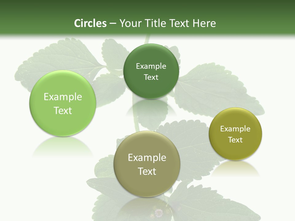 Floral Boutons Herbe PowerPoint Template