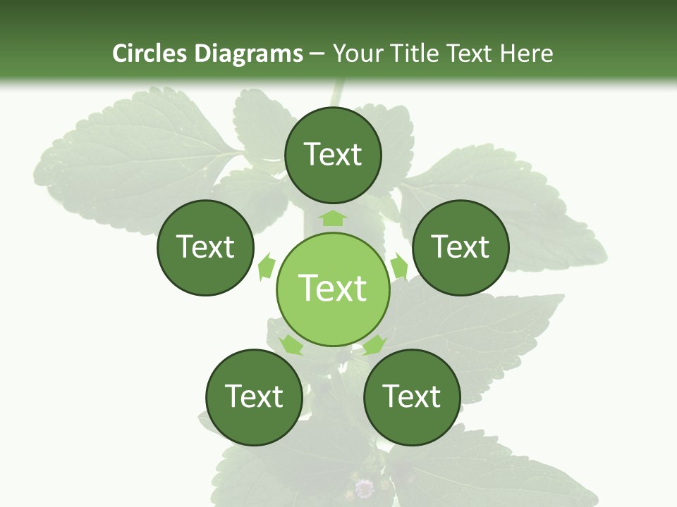 Floral Boutons Herbe PowerPoint Template