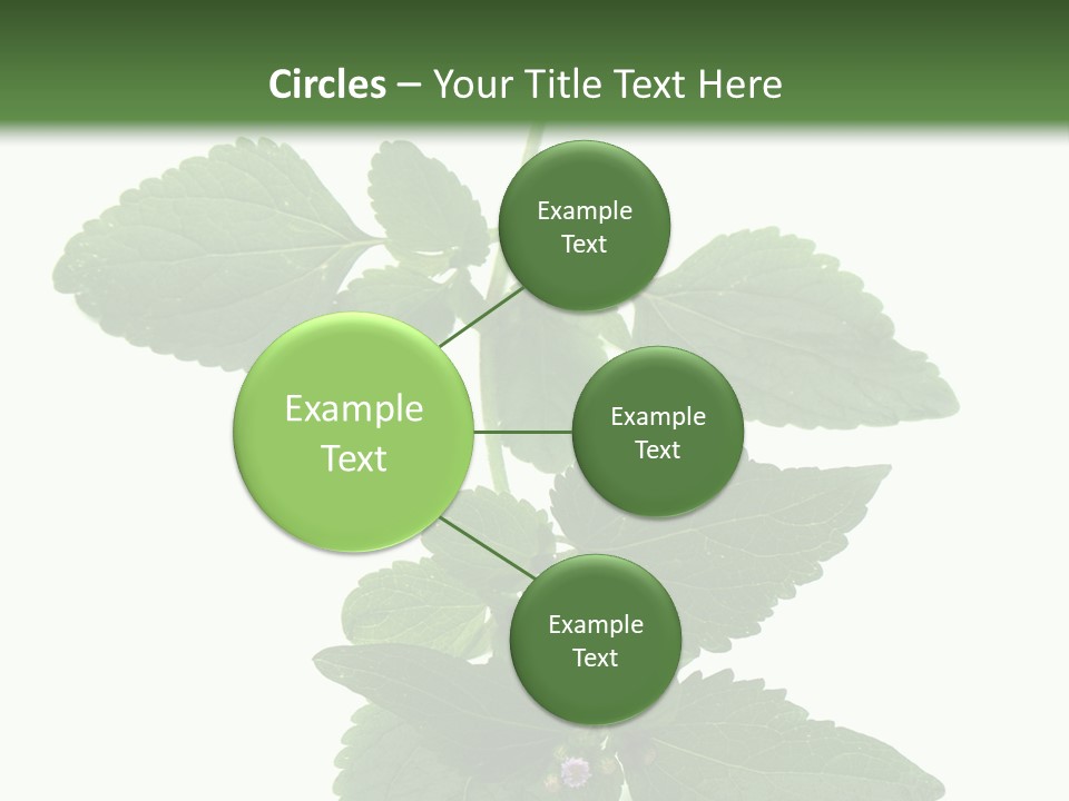 Floral Boutons Herbe PowerPoint Template