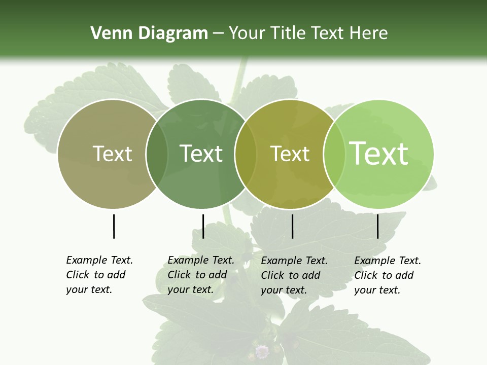 Floral Boutons Herbe PowerPoint Template