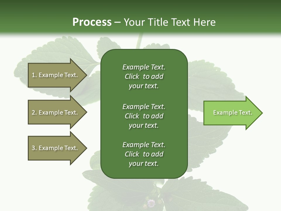 Floral Boutons Herbe PowerPoint Template