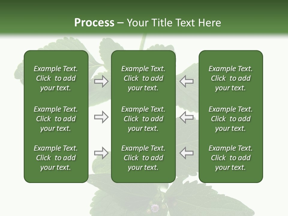 Floral Boutons Herbe PowerPoint Template