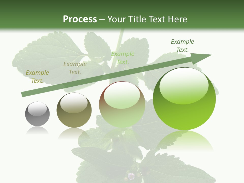 Floral Boutons Herbe PowerPoint Template