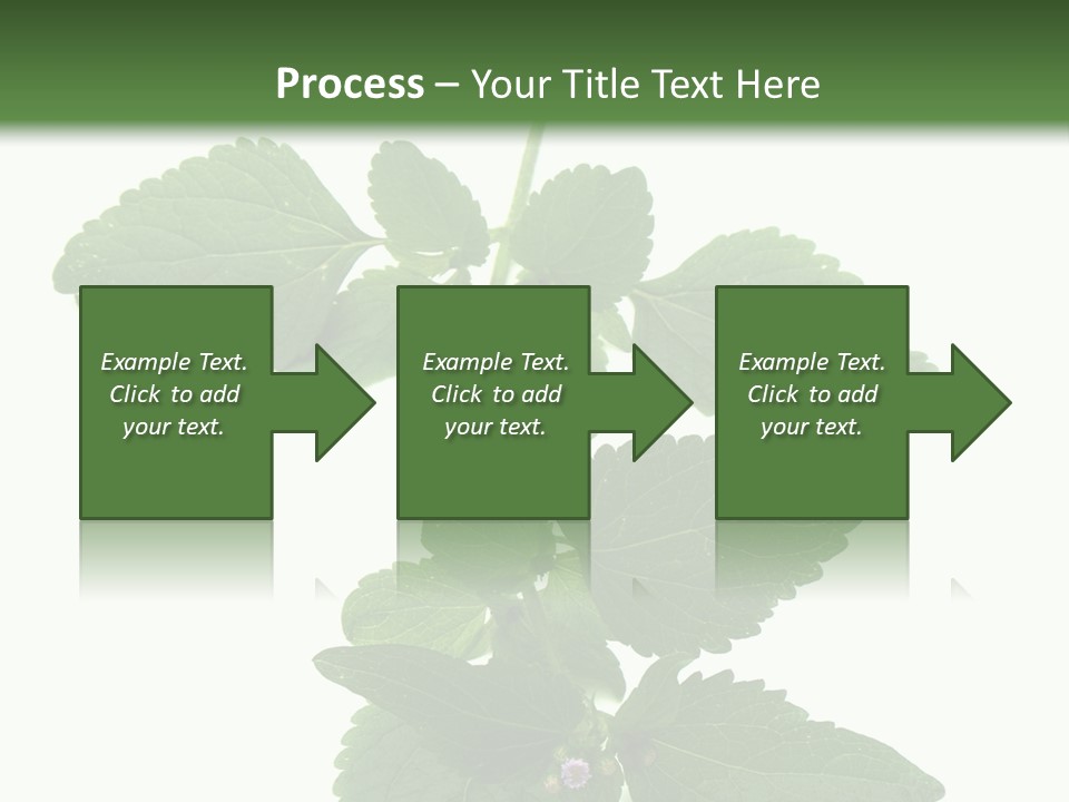 Floral Boutons Herbe PowerPoint Template