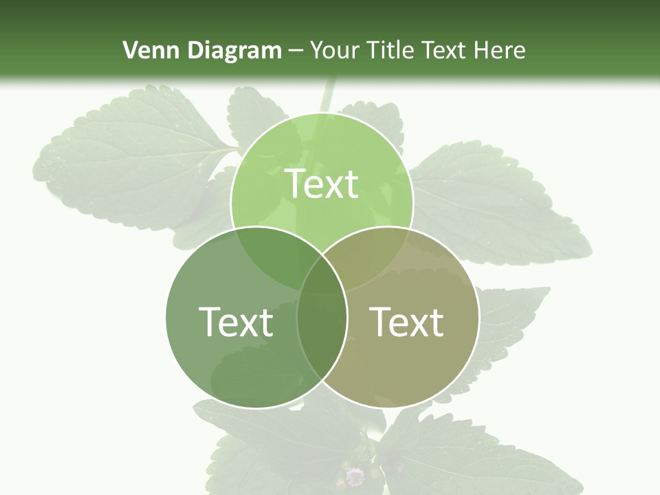 Floral Boutons Herbe PowerPoint Template