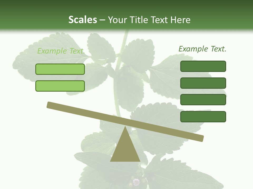 Floral Boutons Herbe PowerPoint Template