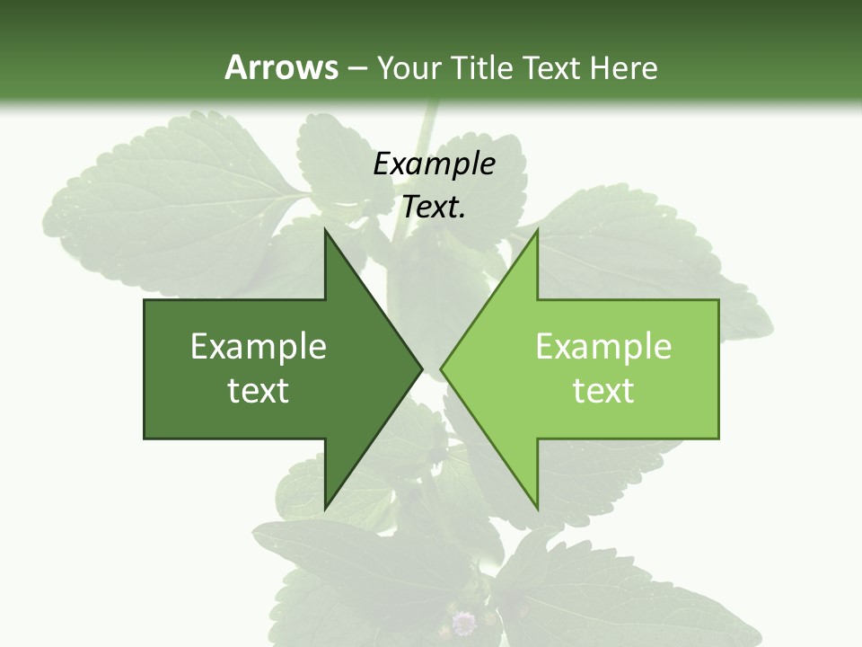 Floral Boutons Herbe PowerPoint Template