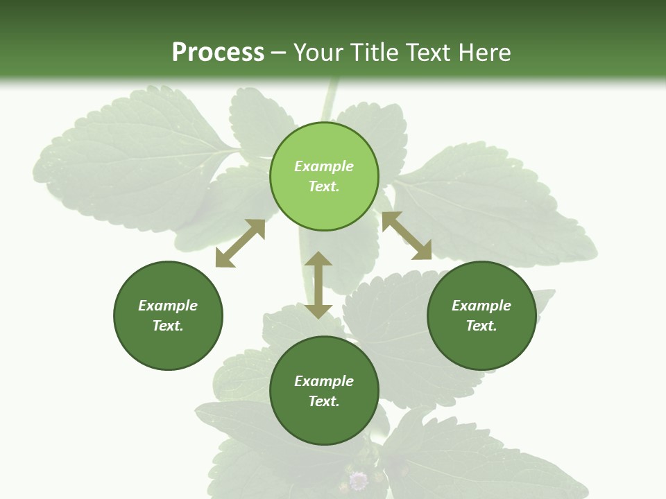 Floral Boutons Herbe PowerPoint Template