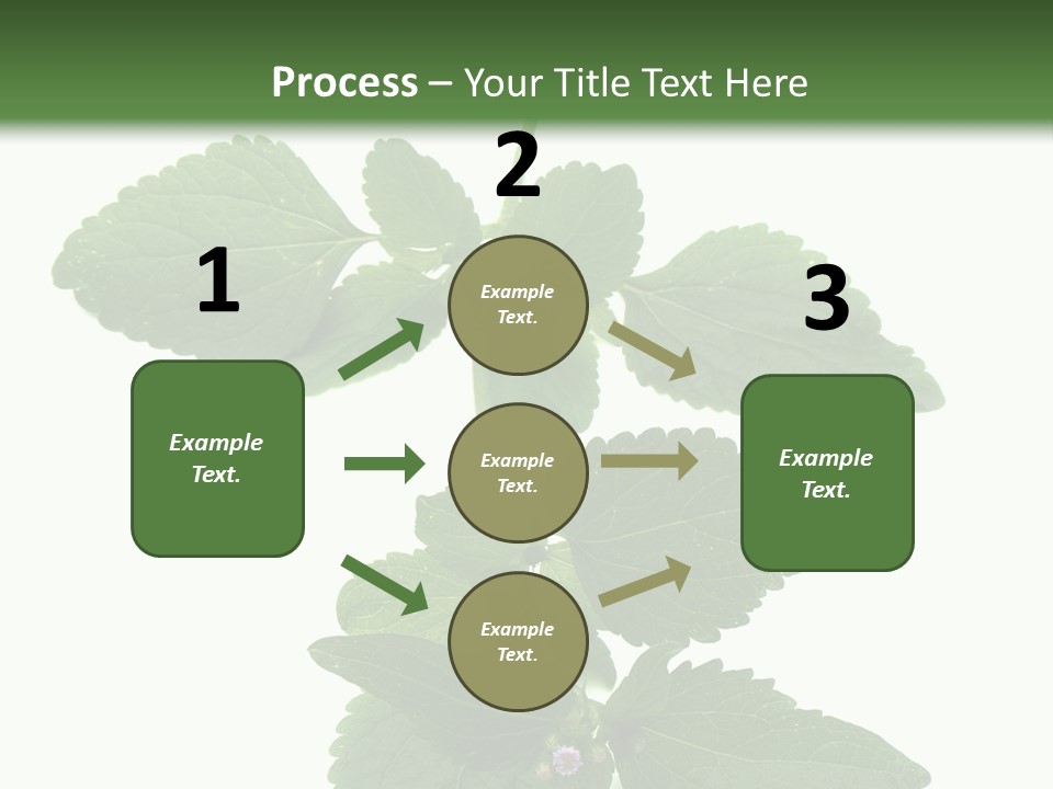 Floral Boutons Herbe PowerPoint Template