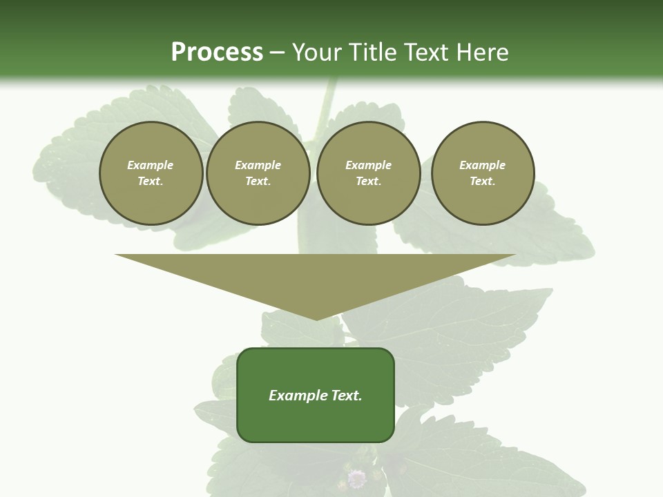 Floral Boutons Herbe PowerPoint Template