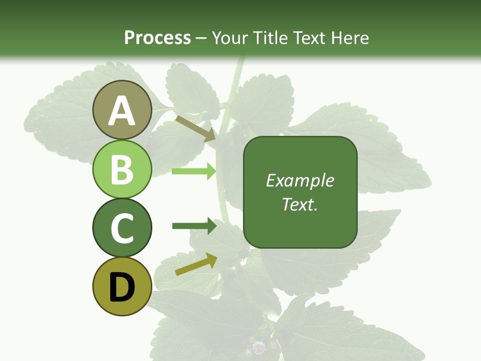 Floral Boutons Herbe PowerPoint Template