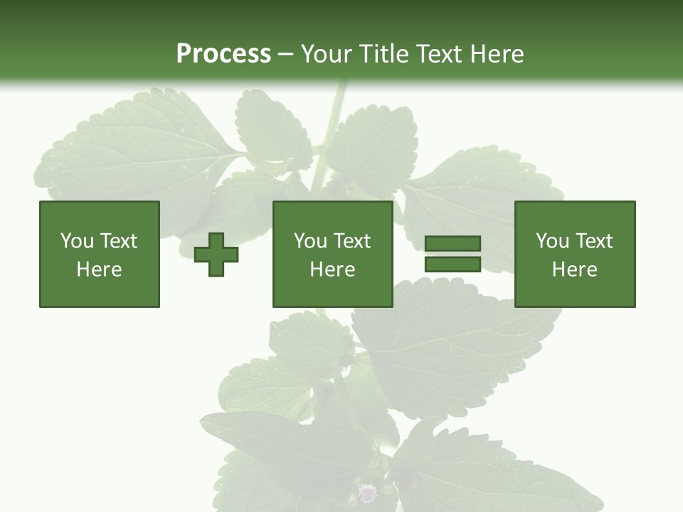 Floral Boutons Herbe PowerPoint Template