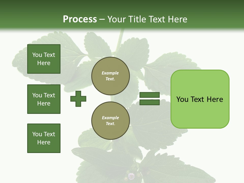 Floral Boutons Herbe PowerPoint Template