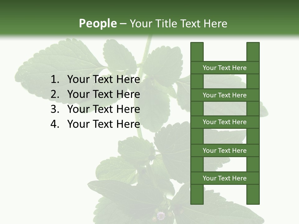 Floral Boutons Herbe PowerPoint Template