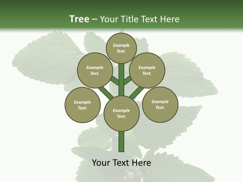 Floral Boutons Herbe PowerPoint Template