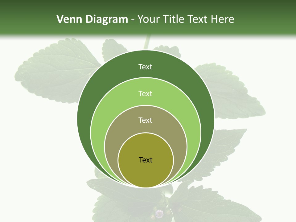 Floral Boutons Herbe PowerPoint Template