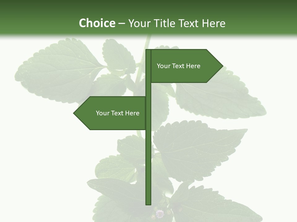 Floral Boutons Herbe PowerPoint Template
