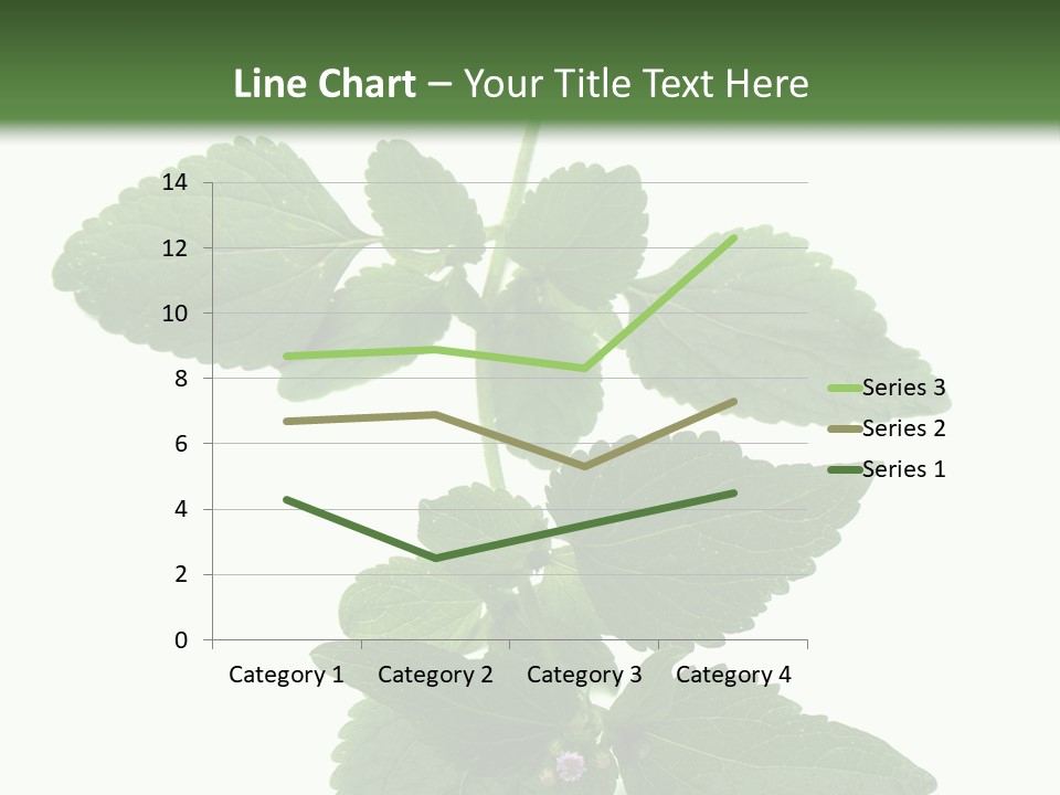 Floral Boutons Herbe PowerPoint Template