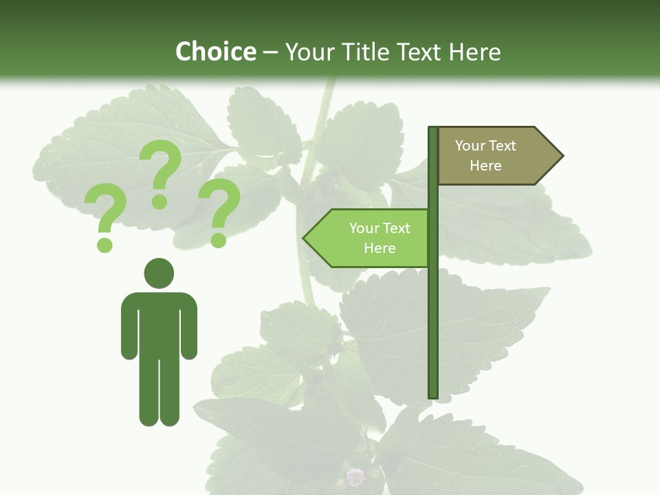 Floral Boutons Herbe PowerPoint Template