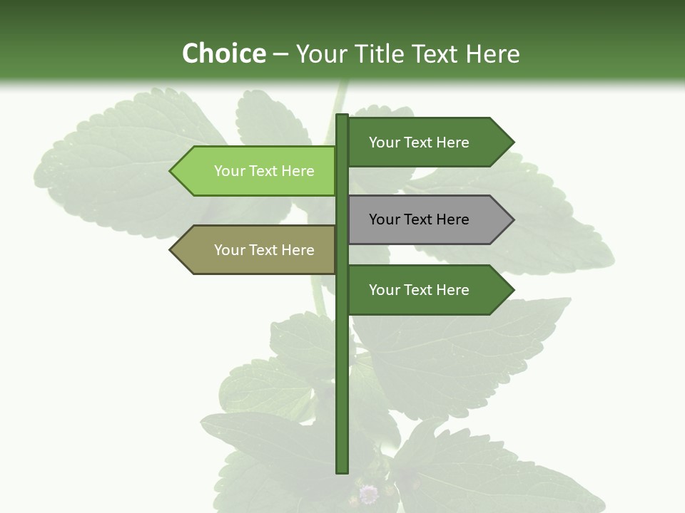 Floral Boutons Herbe PowerPoint Template