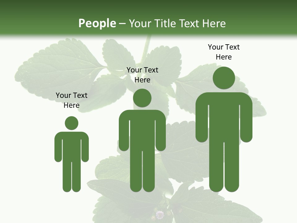 Floral Boutons Herbe PowerPoint Template