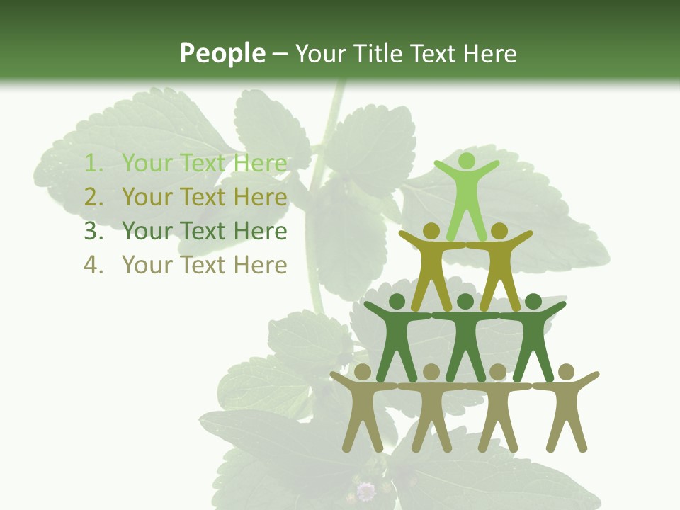 Floral Boutons Herbe PowerPoint Template