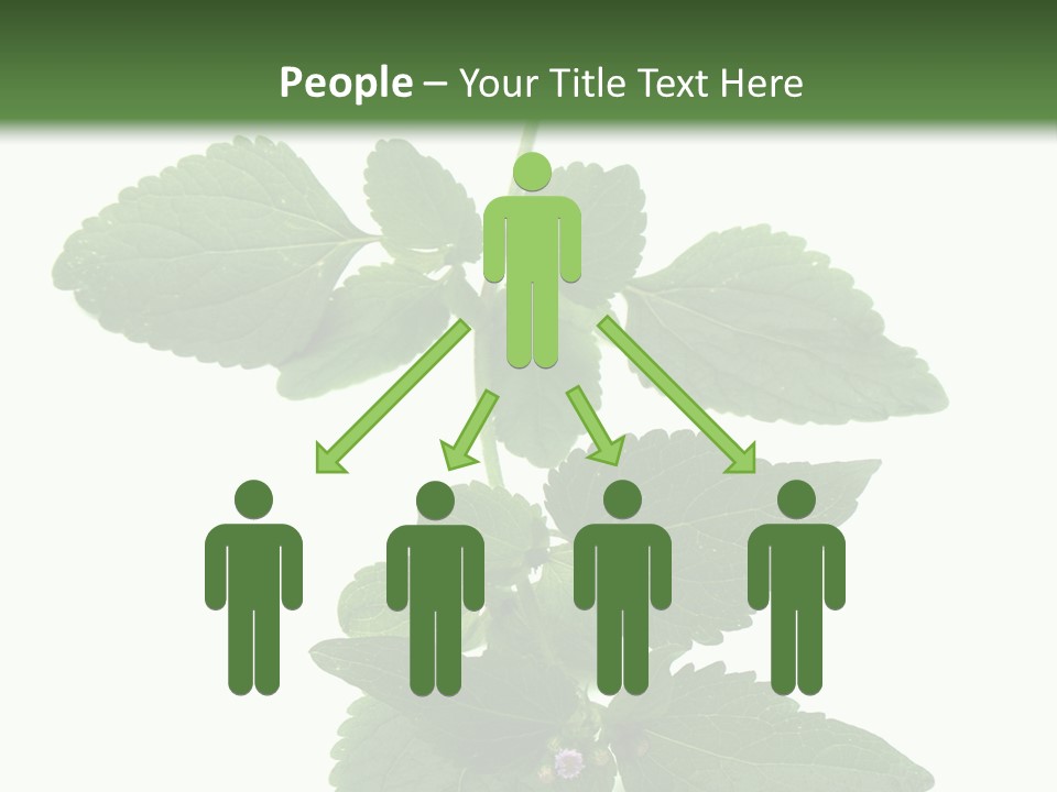 Floral Boutons Herbe PowerPoint Template