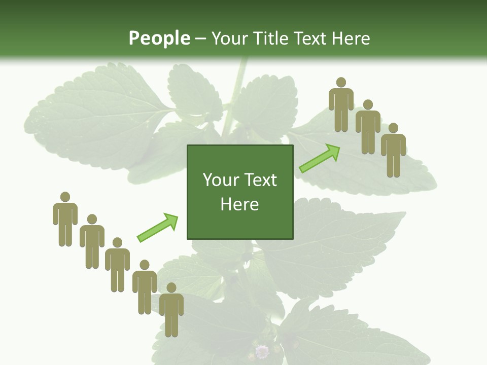 Floral Boutons Herbe PowerPoint Template