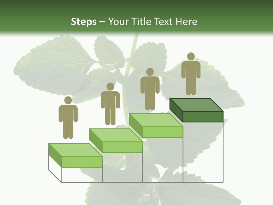 Floral Boutons Herbe PowerPoint Template