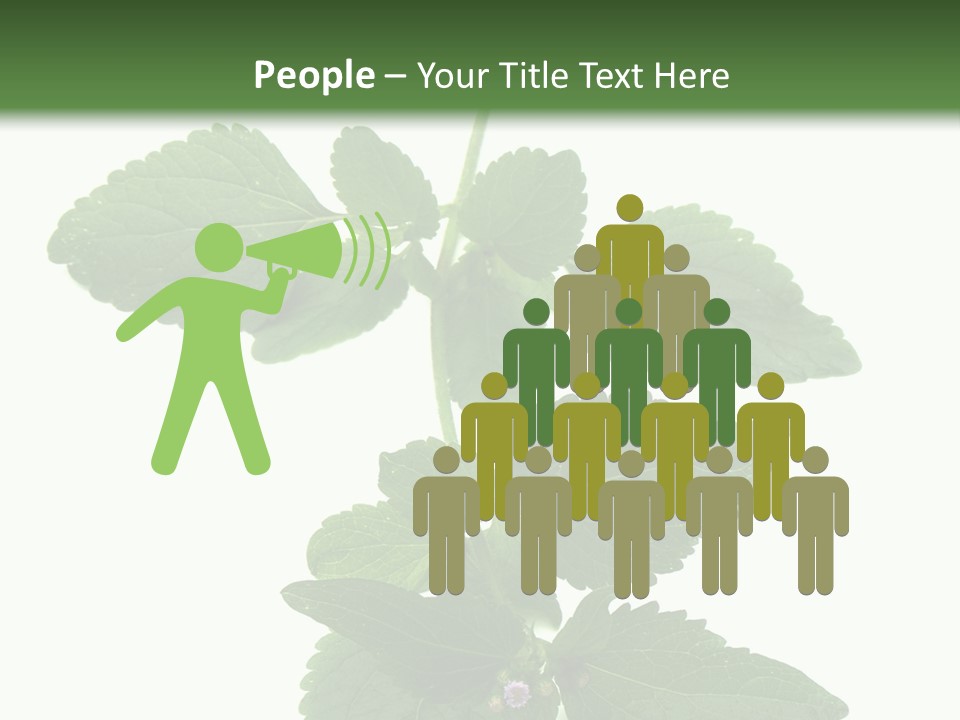 Floral Boutons Herbe PowerPoint Template