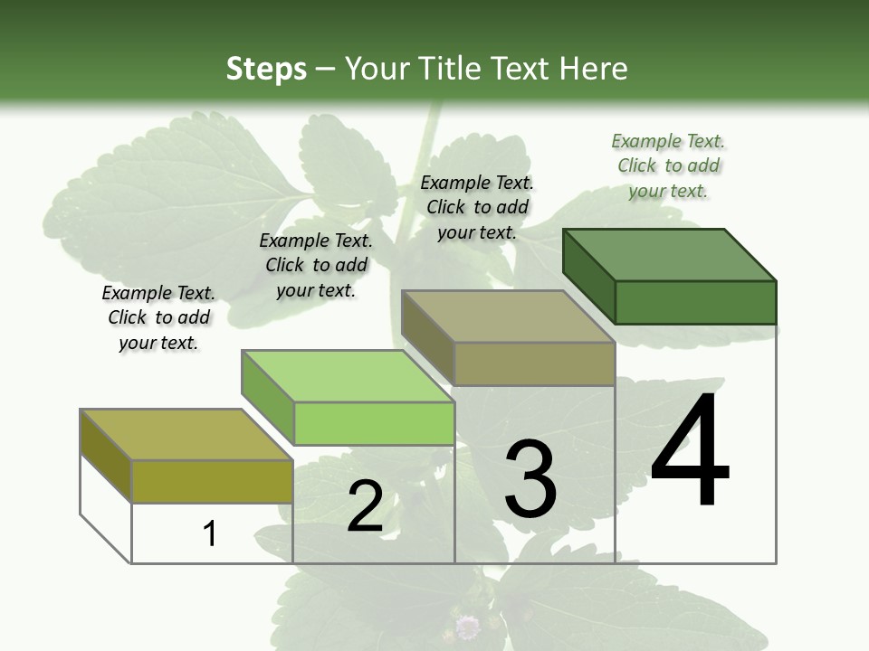 Floral Boutons Herbe PowerPoint Template