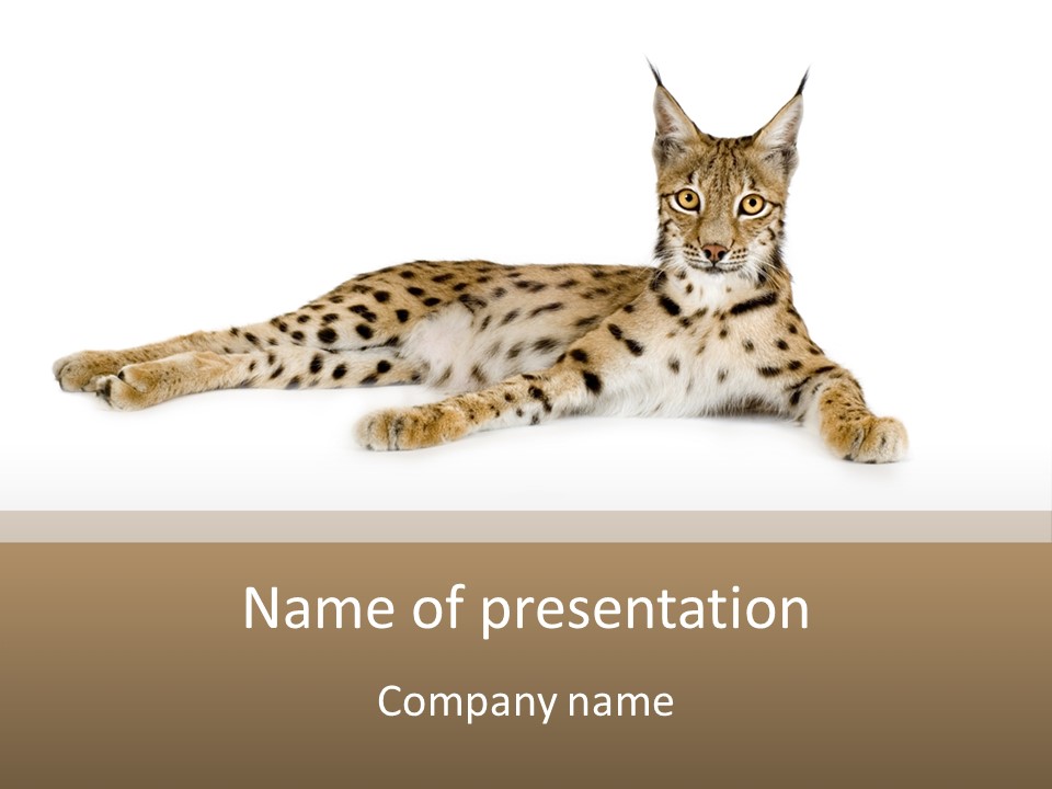 Isolated Wild Spotted PowerPoint Template