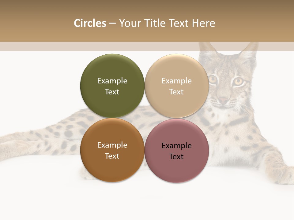 Isolated Wild Spotted PowerPoint Template