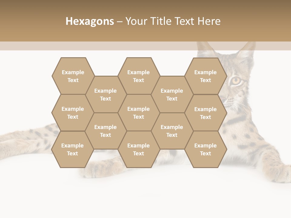 Isolated Wild Spotted PowerPoint Template