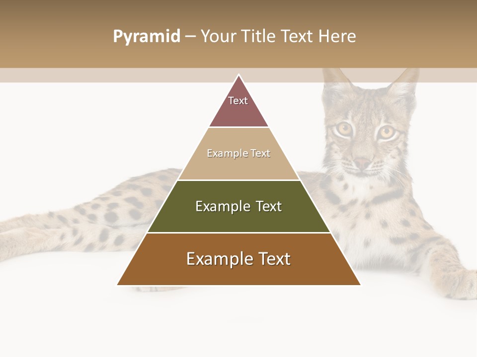 Isolated Wild Spotted PowerPoint Template