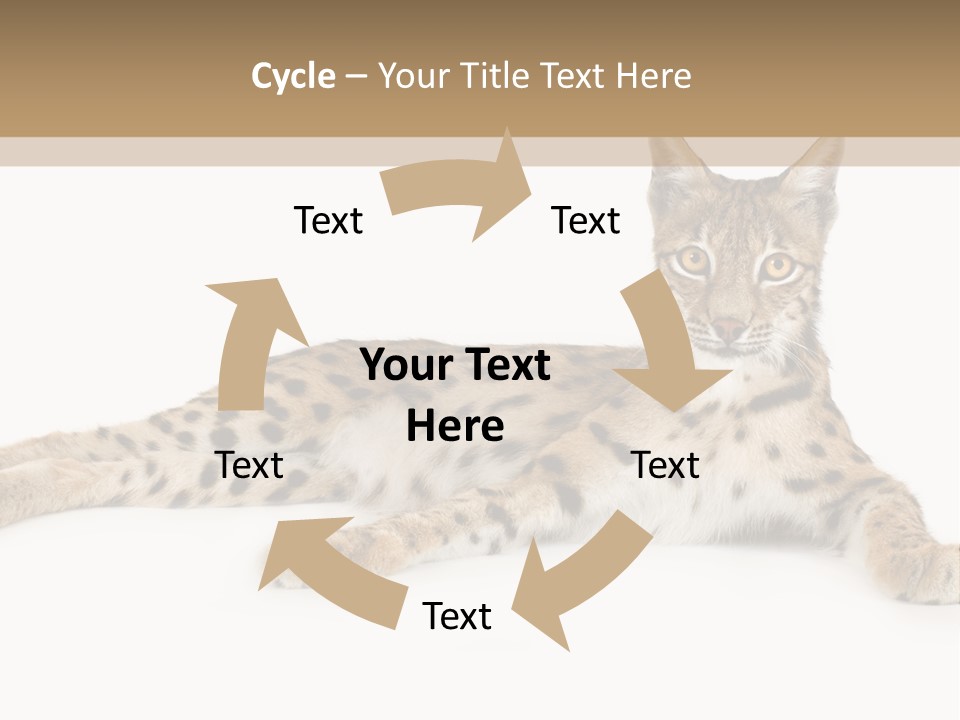 Isolated Wild Spotted PowerPoint Template